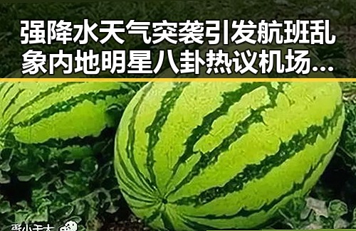 强降水天气突袭引发航班乱象 内地明星八卦热议机场行李收费新规